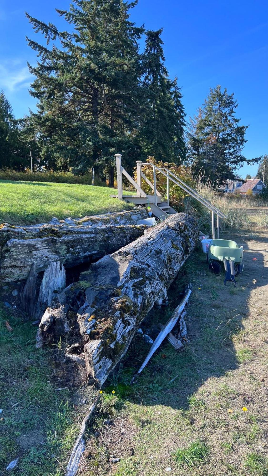 Shorewater Resort Qualicum Beach Kültér fotó